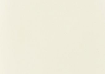 7656M Magnolia (plecy białe)