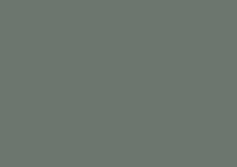 Szałwiowy AFP 5406M *plecy w kolorze frontu*